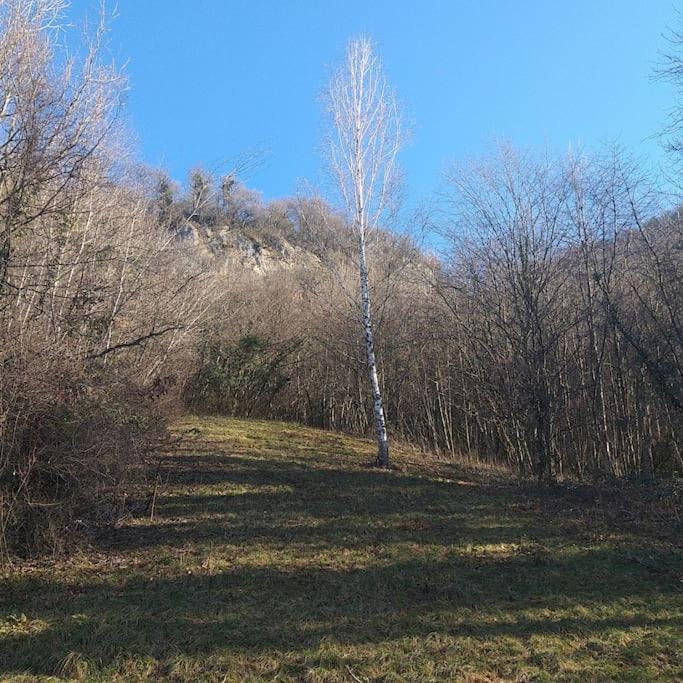 La Dependance Du Chateau De Triviers. Challes-les-Eaux Exteriér fotografie